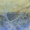 Shell Study III