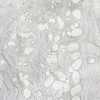 River Stones