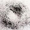 Robin's Nest