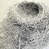 Robin's Nest
