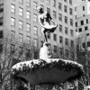 Snow in New York