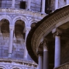 Pisa