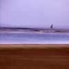 Ocean sand