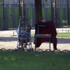 Jardin de Luxembourg