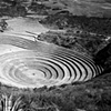 Moray