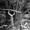 Las Pozas, Xilitla