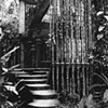 Las Pozas, Xilitla