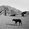 Teotihuacan