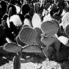 Mexico City