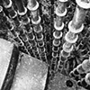 Las Pozas, Xilitla