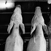 Mercado Municipal, S&atilde;o Paulo