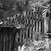 Las Pozas, Xilitla