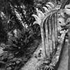 Las Pozas