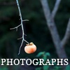 Photographs