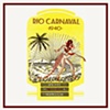 Rio Carnaval 2010
