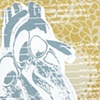 "Anatomy of the Heart"