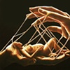 Safe In your Hands