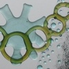 Babe Detail
