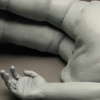 Succession, detail