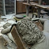 In The Studio