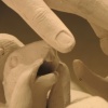 detail, Inherent Longing