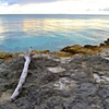Dominican Republic
