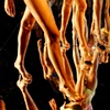 s&eacute;rie Runway

"Pernas"