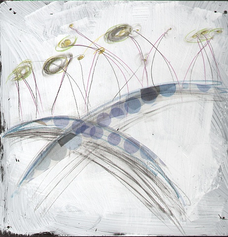 Seaweed Three
