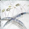 Seaweed Three