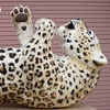 Hanging Leopard