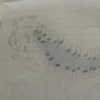 Peoria River, 1903 (music overlay)