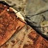 Ordinating an Abscissa