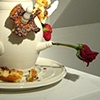 Donut tulipiere