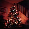 Tannenbaum