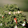 X-Mas Tree