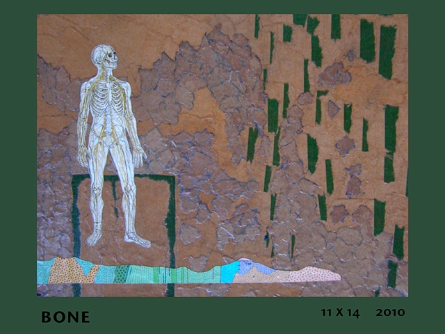 bone