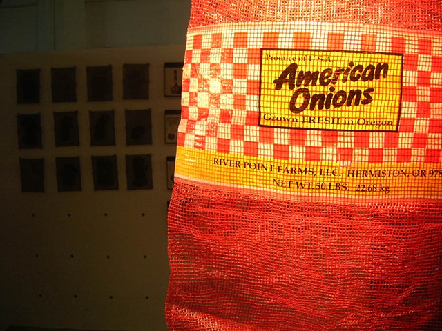american onion lamp project