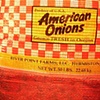 american onion lamp project