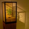 green house