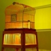 birdcage lamp of happiness