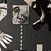Screwed Again at The Regional Arts Commission 
