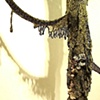 Encroachment - Detail