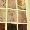Aftergrowth - Detail
