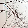 Helix - Detail