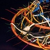 Vessel for the Ties That Bind Us