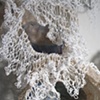 Sudz (detail)