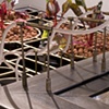 Detail of Components