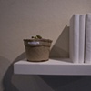 Novel Tree