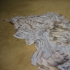 Sleep Position "Water Wings" (detail)