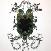 King Ficus elastica